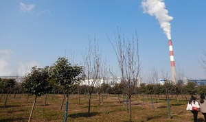 clip_image004.jpg